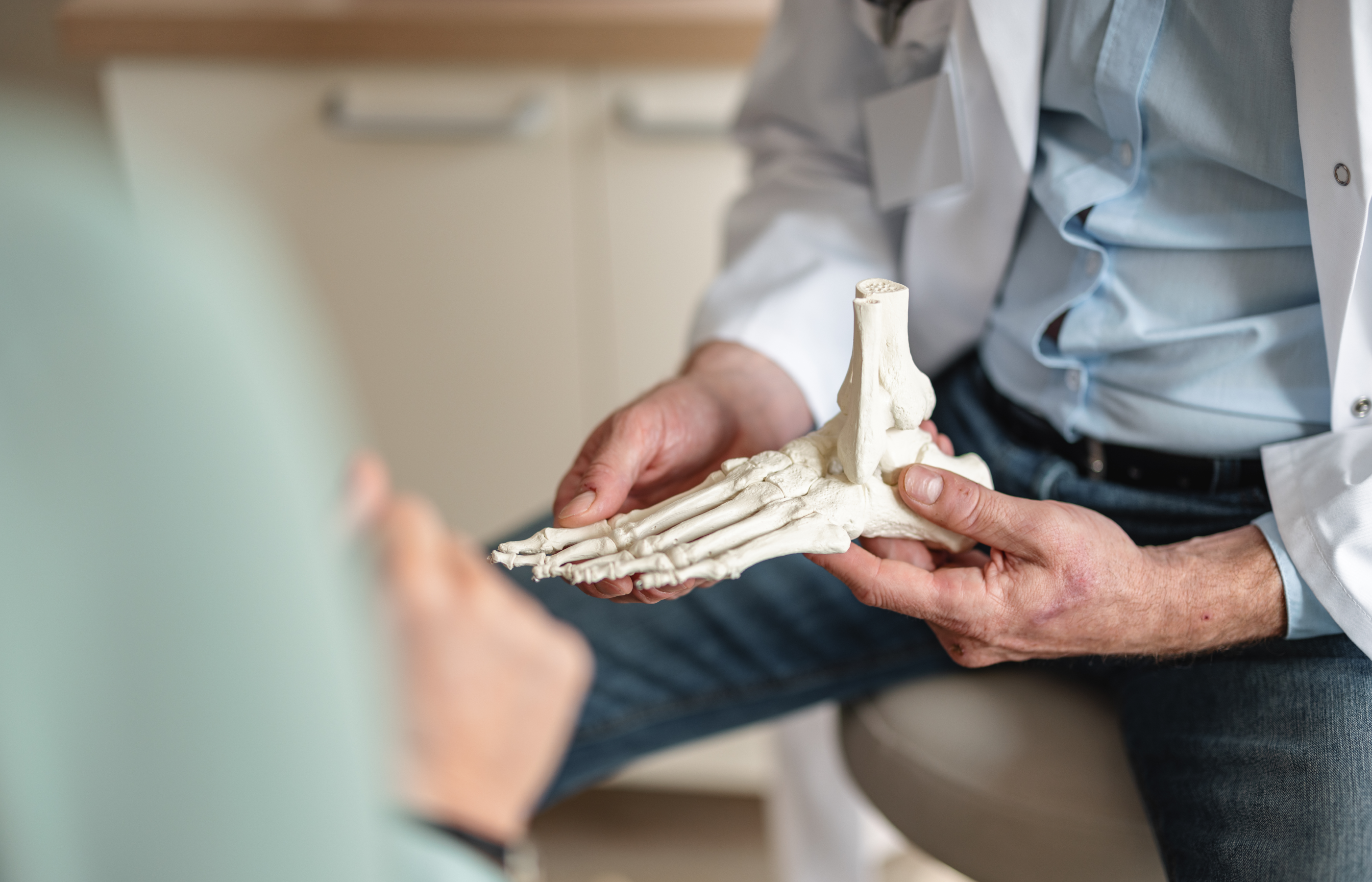 A doctor holding a foot bone model, explaining to a patient during a consultation.