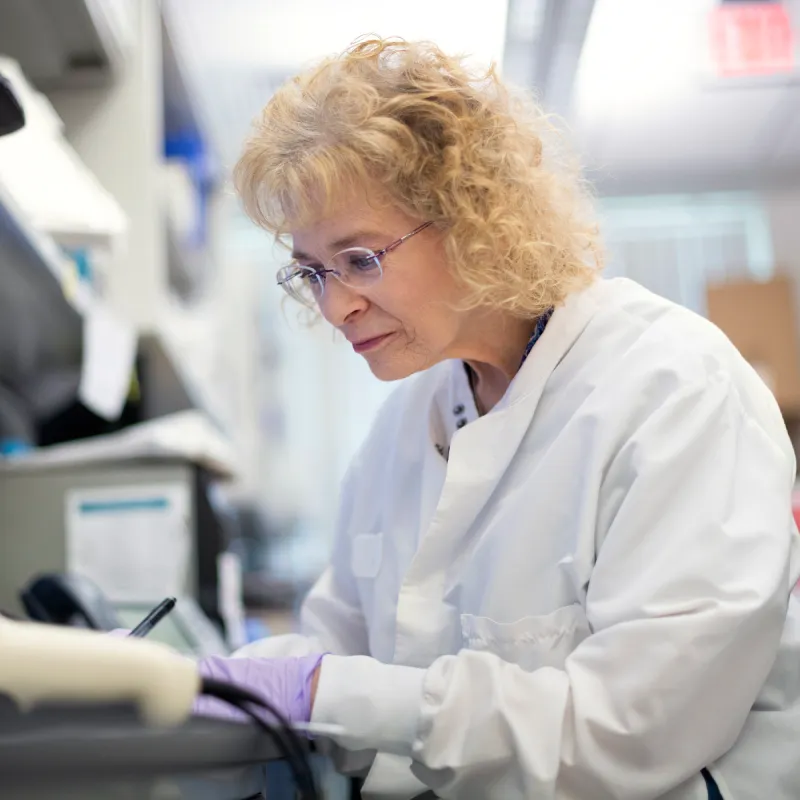 A Novant Health team member is reviewing patient information. 