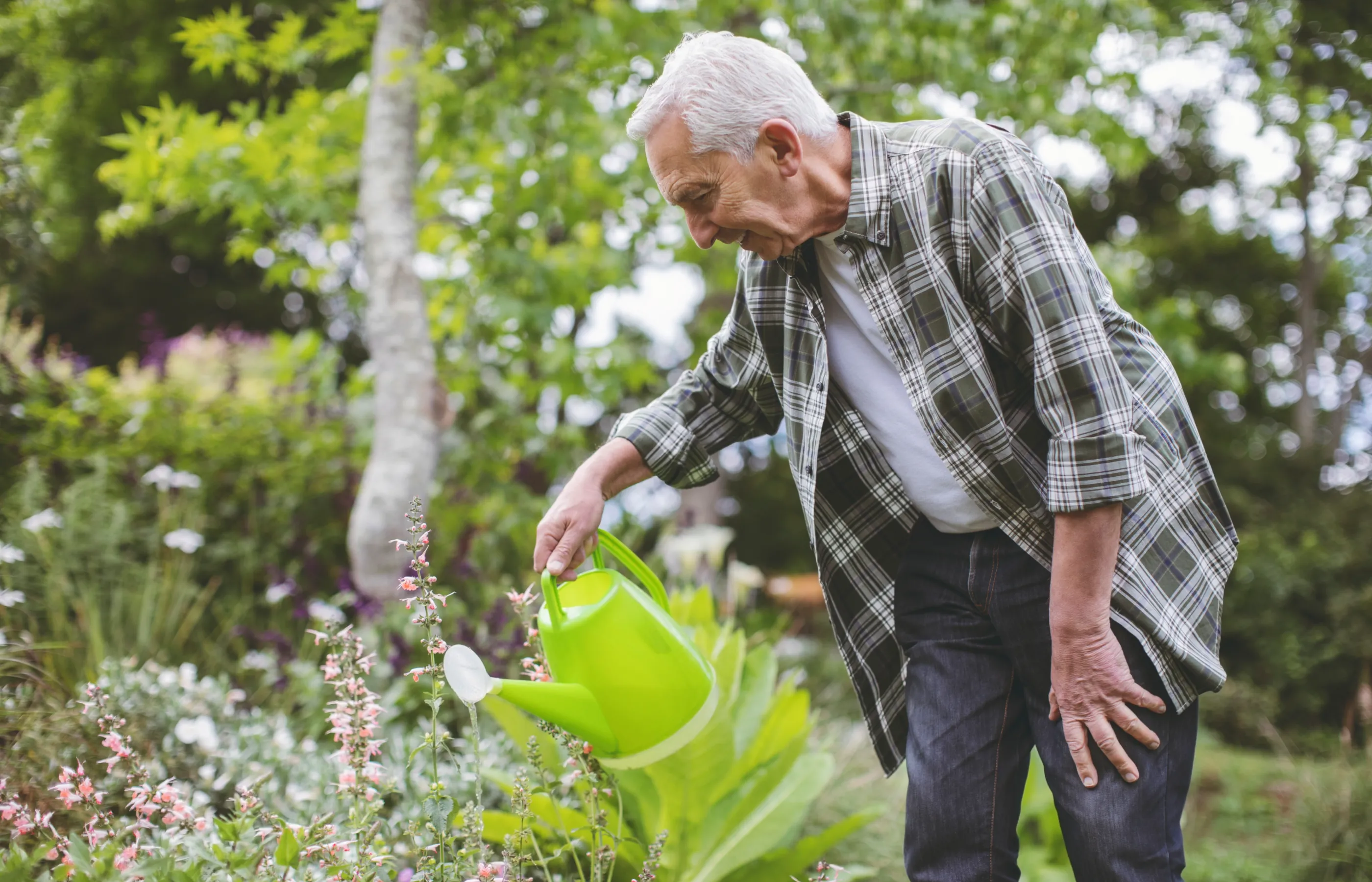 Senior man outside watering his flower garden