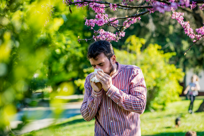 A man sneezes into a tissue, surrounded by blooming trees in a sunny park.
