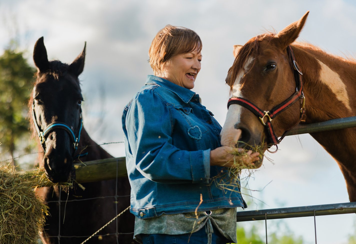 Pam Ward feeding horses Pam Ward feeding horses